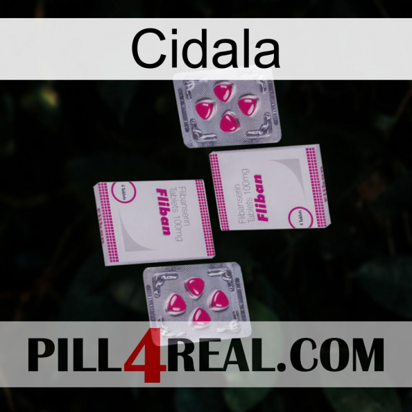 Cidala 33